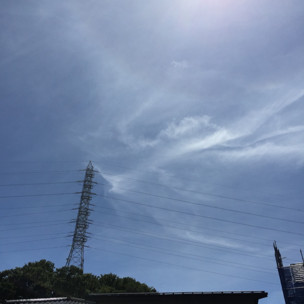 f:id:herbteatime:20150716091659j:image f:id:herbteatime:20150716091659j:image