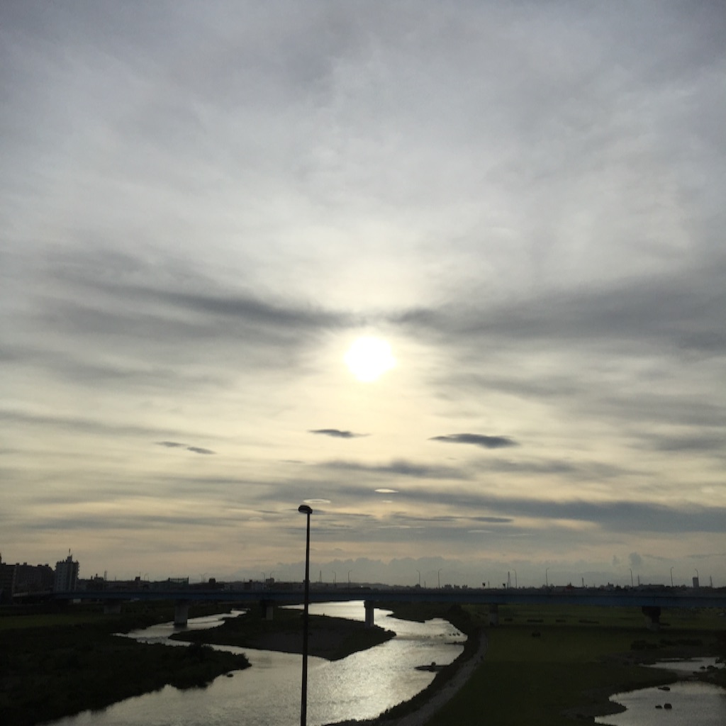 f:id:herbteatime:20150716122507j:image f:id:herbteatime:20150716122507j:image