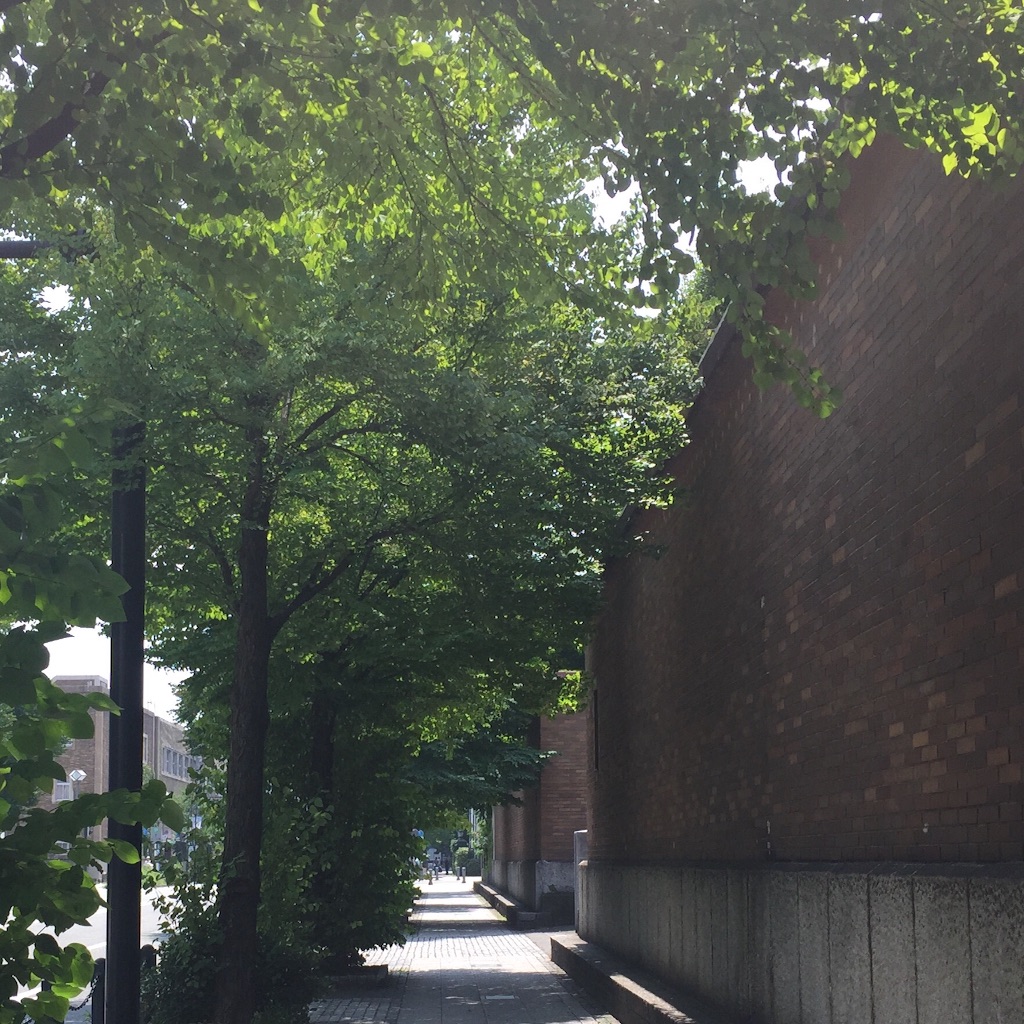 f:id:herbteatime:20150803104350j:image f:id:herbteatime:20150803104350j:image