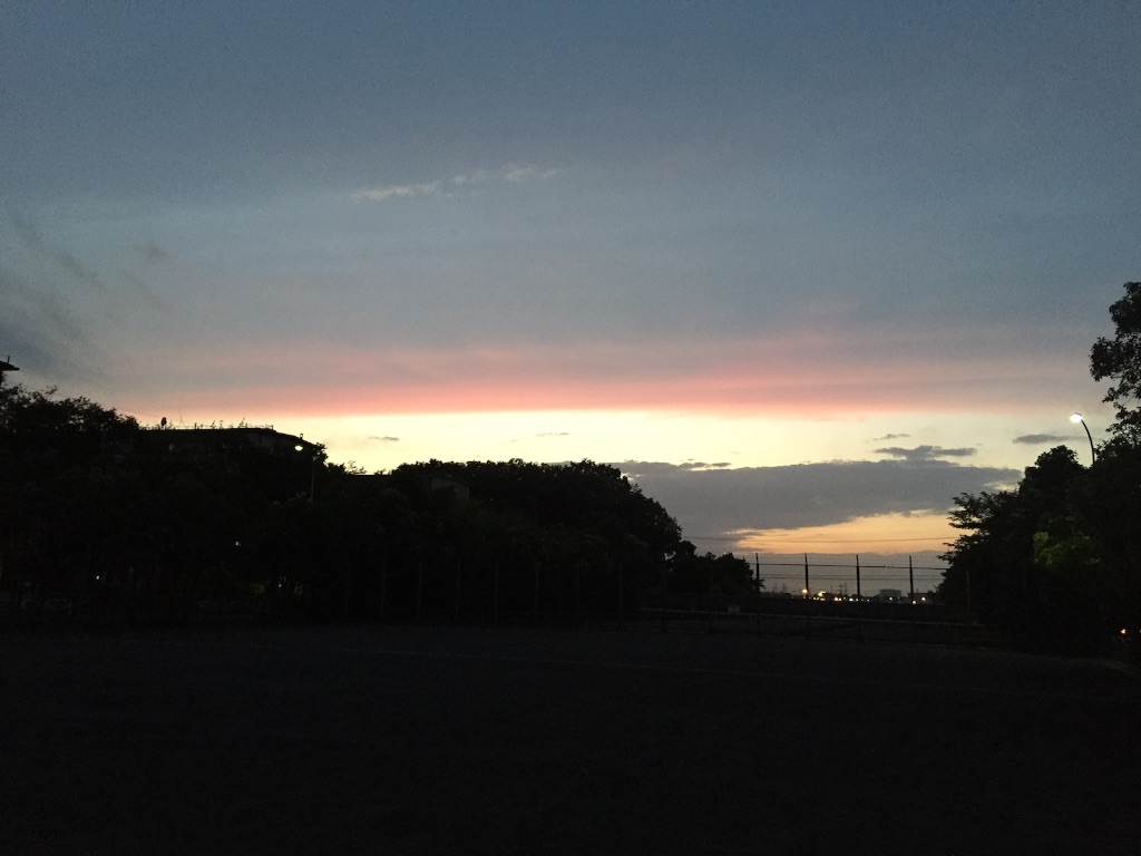 f:id:herbteatime:20150819092940j:image f:id:herbteatime:20150819092940j:image