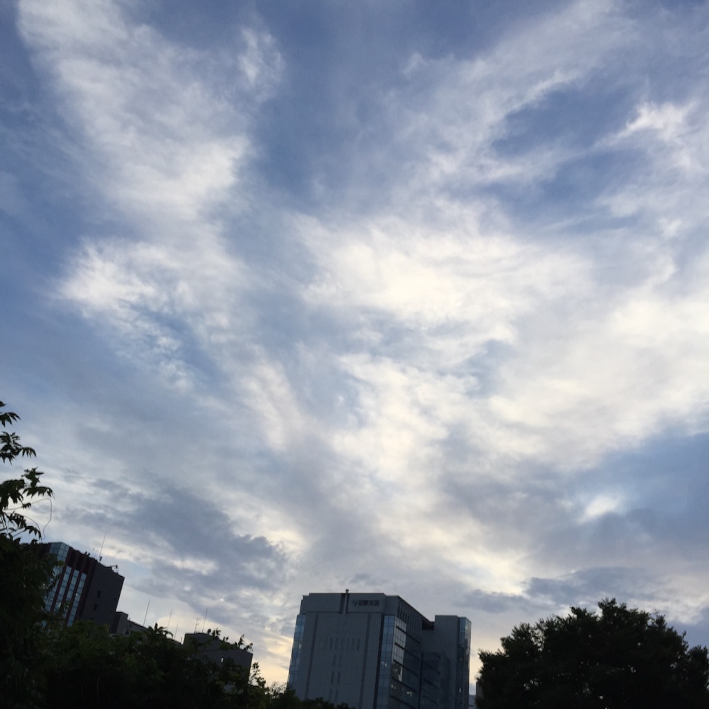 f:id:herbteatime:20150819093053j:image f:id:herbteatime:20150819093053j:image