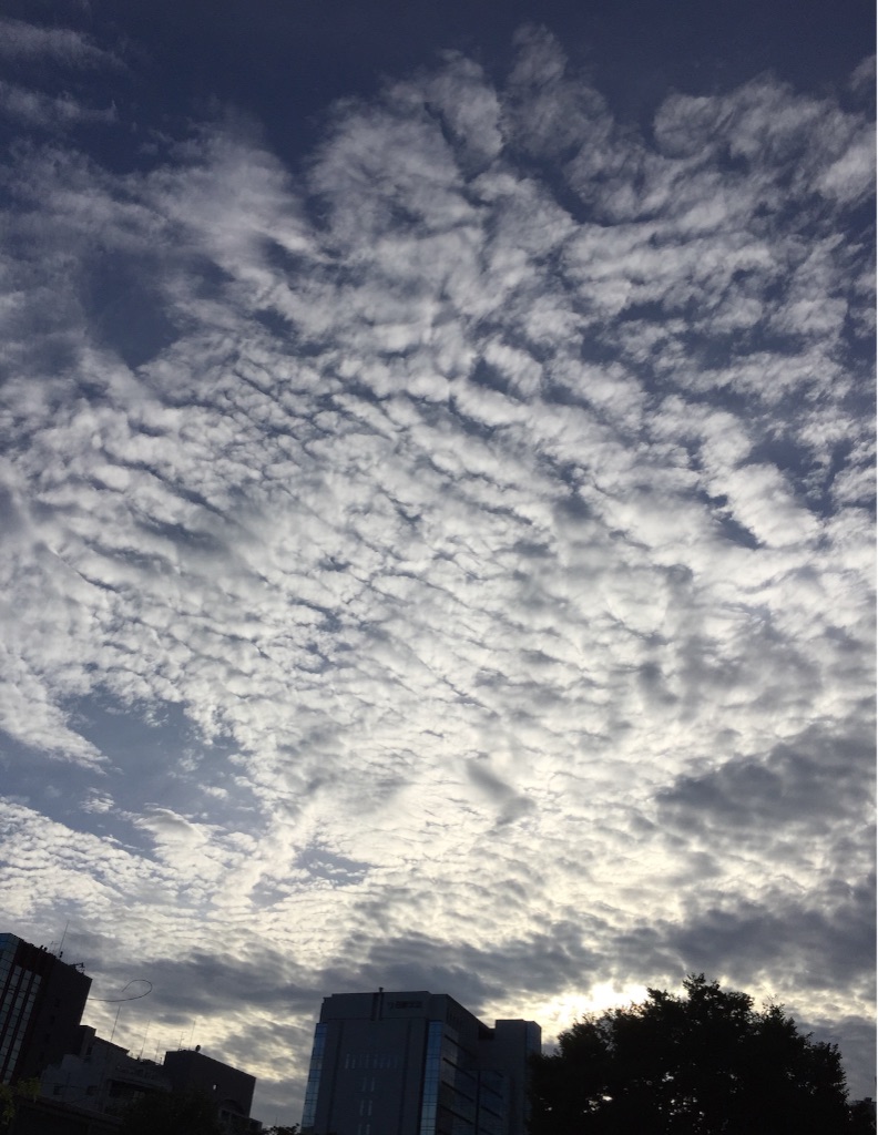 f:id:herbteatime:20150819093133j:image f:id:herbteatime:20150819093133j:image