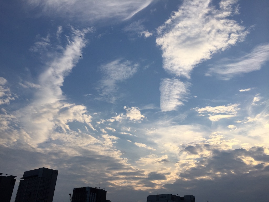 f:id:herbteatime:20150819093157j:image f:id:herbteatime:20150819093157j:image