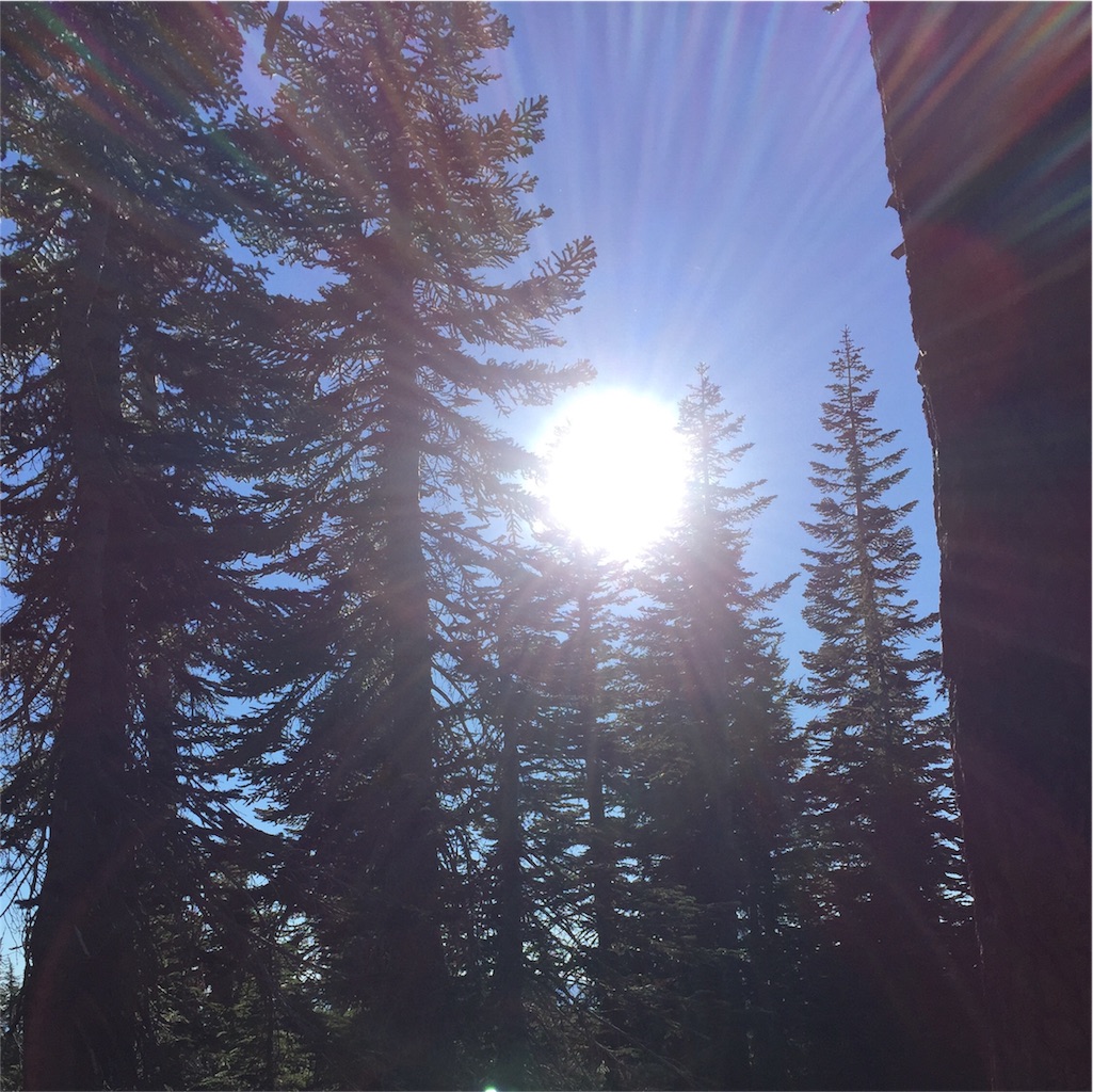 f:id:herbteatime:20151025000813j:image f:id:herbteatime:20151025000813j:image