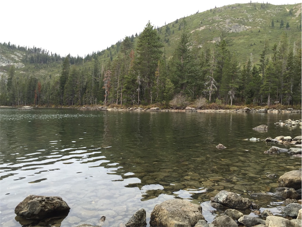 f:id:herbteatime:20151025210348j:image f:id:herbteatime:20151025210348j:image