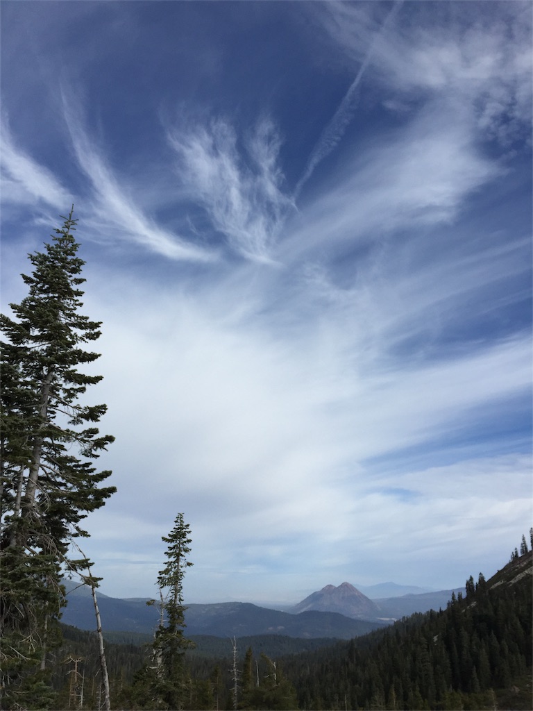 f:id:herbteatime:20151025212721j:image f:id:herbteatime:20151025212721j:image