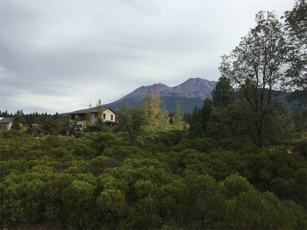f:id:herbteatime:20151026170448j:image f:id:herbteatime:20151026170448j:image