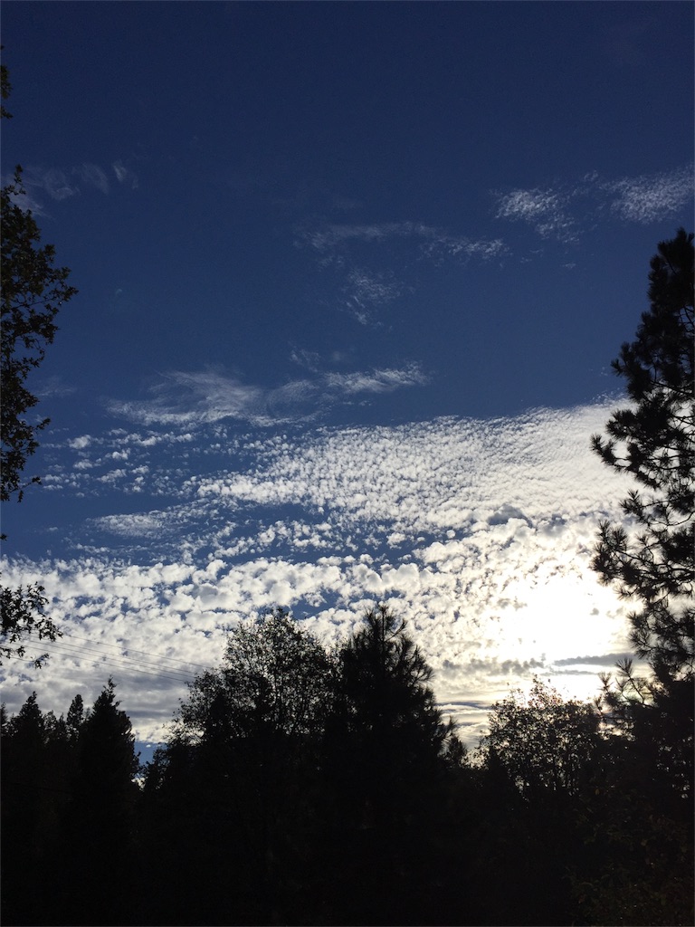 f:id:herbteatime:20151101125306j:image f:id:herbteatime:20151101125306j:image