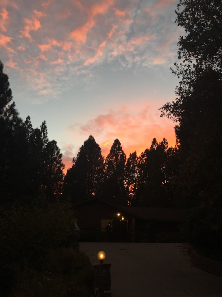 f:id:herbteatime:20151101150927j:image f:id:herbteatime:20151101150927j:image