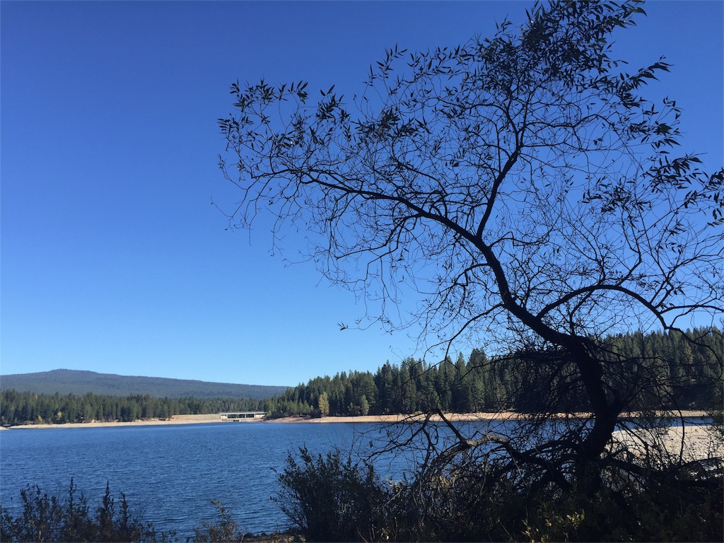 f:id:herbteatime:20151101154424j:image f:id:herbteatime:20151101154424j:image