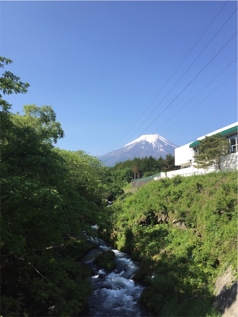 f:id:herbteatime:20160525234824j:image f:id:herbteatime:20160525234824j:image