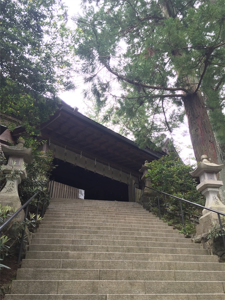f:id:herbteatime:20160531115238j:image f:id:herbteatime:20160531115238j:image
