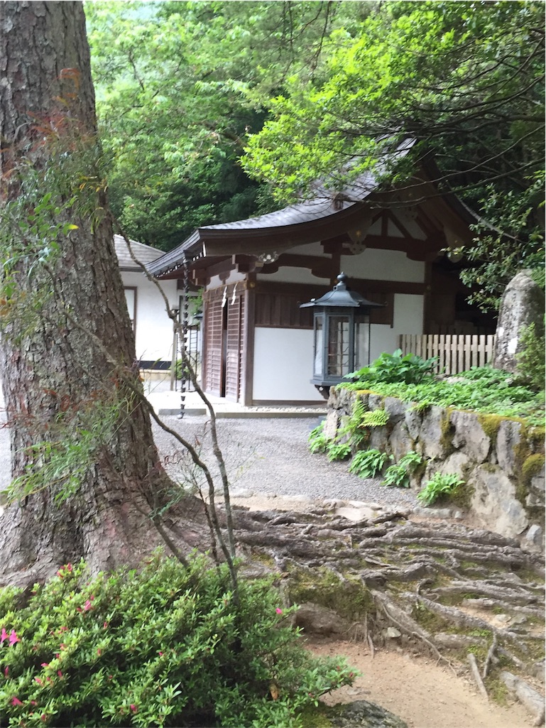 f:id:herbteatime:20160531115405j:image f:id:herbteatime:20160531115405j:image