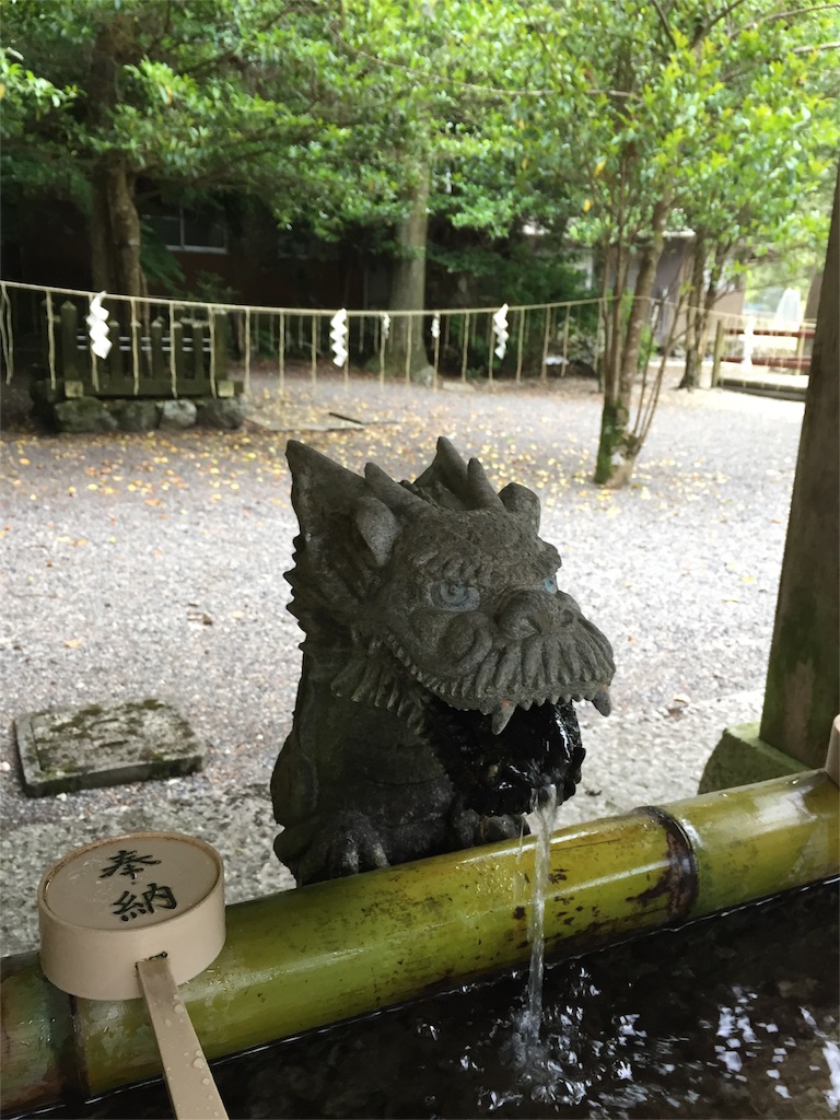 f:id:herbteatime:20160531115517j:image f:id:herbteatime:20160531115517j:image