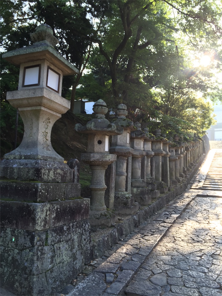 f:id:herbteatime:20160531120238j:image f:id:herbteatime:20160531120238j:image