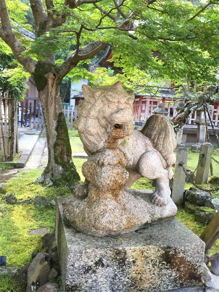 f:id:herbteatime:20160531120425j:image f:id:herbteatime:20160531120425j:image
