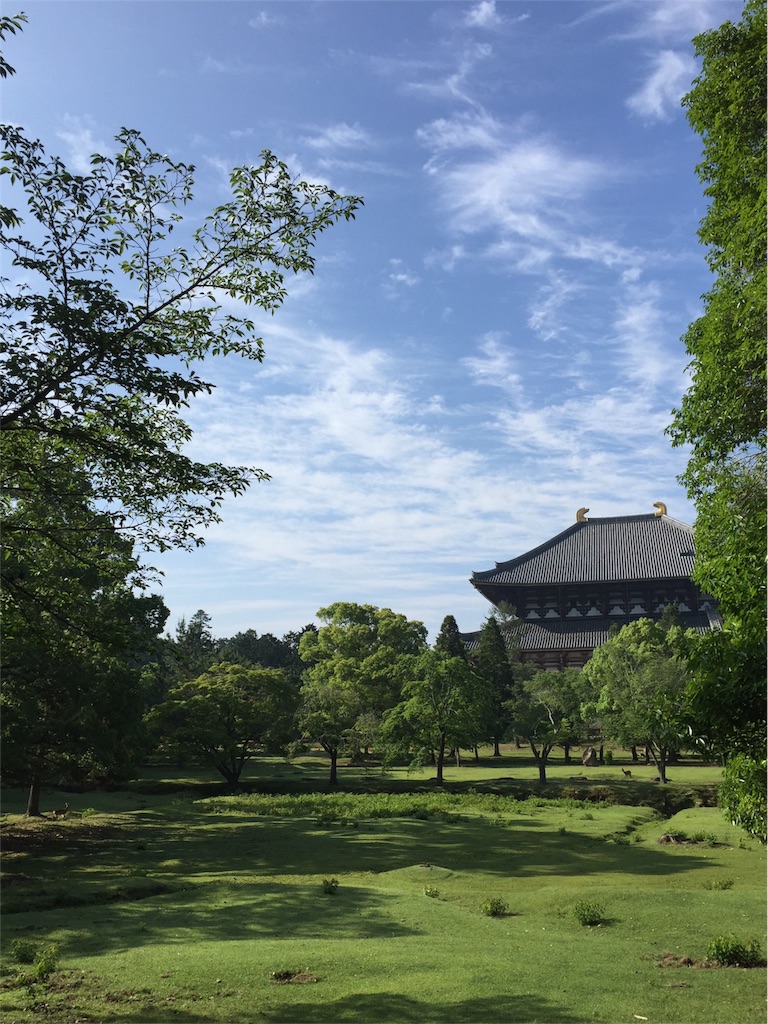 f:id:herbteatime:20160531122300j:image f:id:herbteatime:20160531122300j:image
