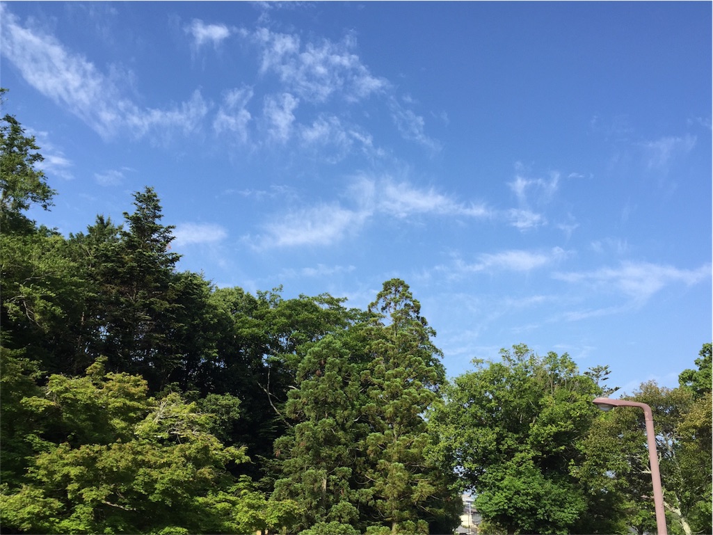 f:id:herbteatime:20160601134137j:image f:id:herbteatime:20160601134137j:image