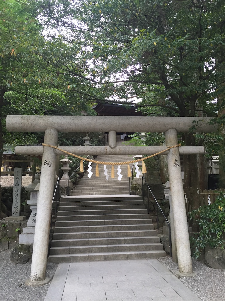f:id:herbteatime:20160601181030j:image f:id:herbteatime:20160601181030j:image