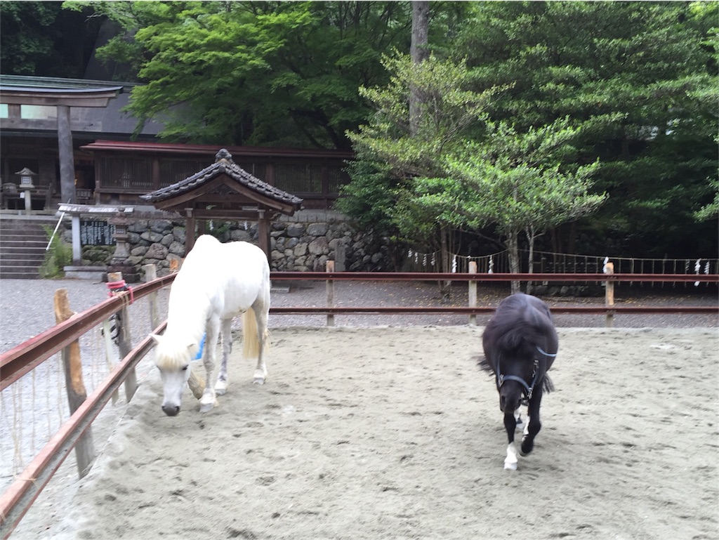 f:id:herbteatime:20160602084149j:image f:id:herbteatime:20160602084149j:image