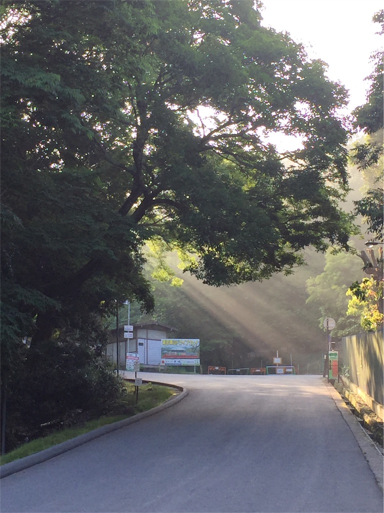 f:id:herbteatime:20160603084200j:image f:id:herbteatime:20160603084200j:image