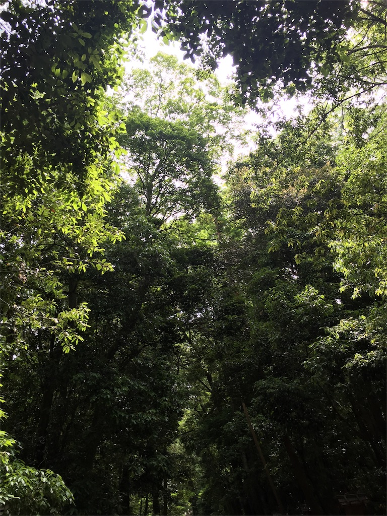 f:id:herbteatime:20160603113233j:image f:id:herbteatime:20160603113233j:image