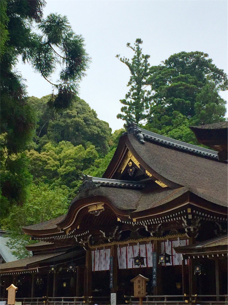 f:id:herbteatime:20160603120310j:image f:id:herbteatime:20160603120310j:image