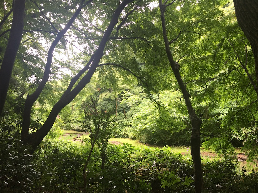 f:id:herbteatime:20160608075132j:image f:id:herbteatime:20160608075132j:image