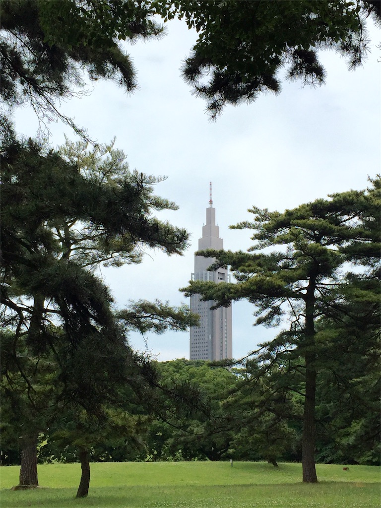 f:id:herbteatime:20160608075249j:image f:id:herbteatime:20160608075249j:image