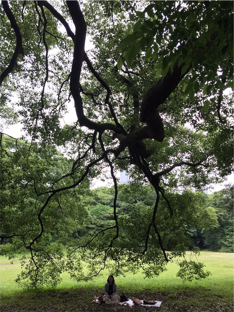 f:id:herbteatime:20160608075510j:image f:id:herbteatime:20160608075510j:image