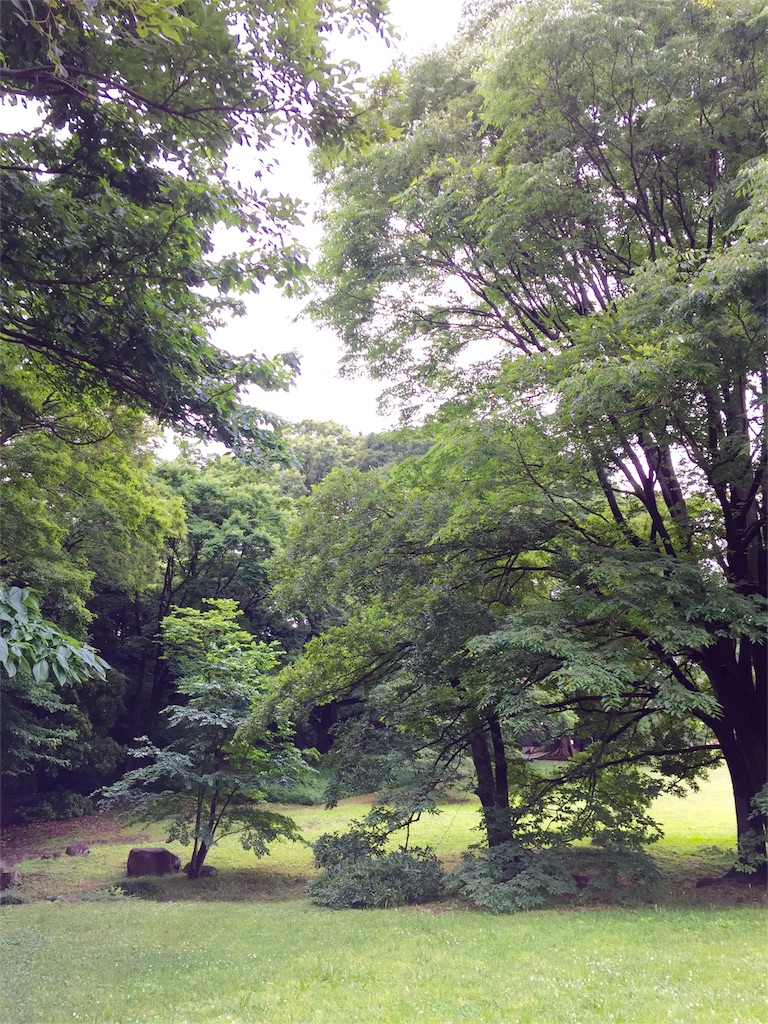 f:id:herbteatime:20160608075541j:image f:id:herbteatime:20160608075541j:image