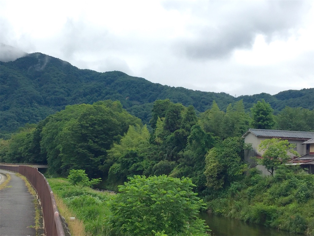 f:id:herbteatime:20160610090153j:image f:id:herbteatime:20160610090153j:image