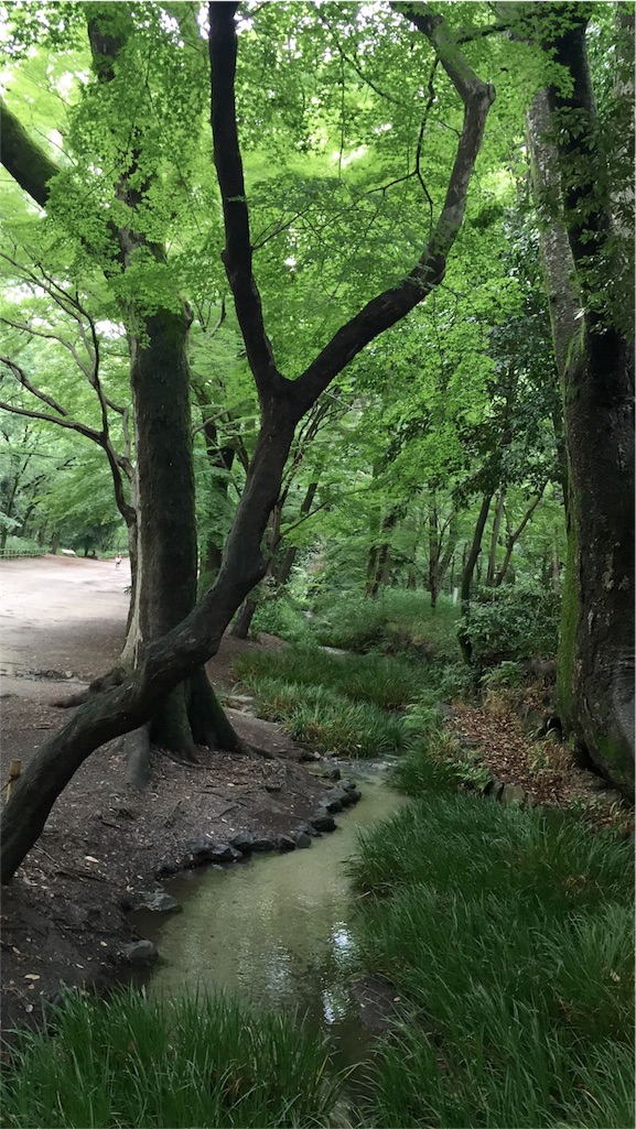 f:id:herbteatime:20160610140736j:image f:id:herbteatime:20160610140736j:image