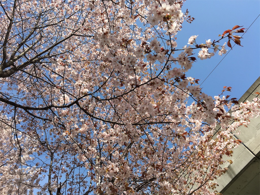 f:id:heyheymitchy:20160503155203j:image f:id:heyheymitchy:20160503155203j:image