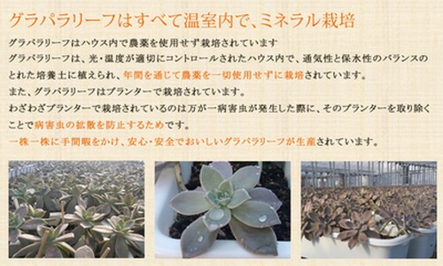 f:id:hhhtaji01:20160403172110j:plain f:id:hhhtaji01:20160403172110j:plain