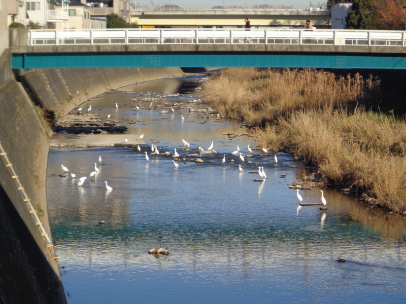 f:id:hi-koku:20131214085915j:image:w640 f:id:hi-koku:20131214085915j:image:w640