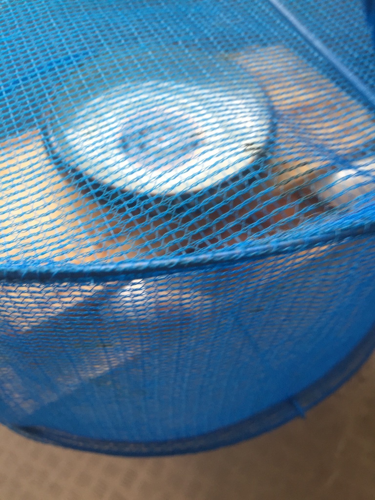 f:id:hibiben:20151123154919j:image f:id:hibiben:20151123154919j:image