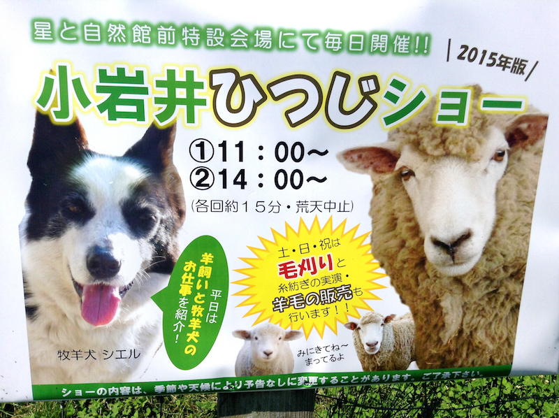 f:id:hide_sophia:20150727141154j:plain f:id:hide_sophia:20150727141154j:plain