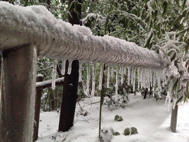f:id:hiemiko:20140208164726j:plain f:id:hiemiko:20140208164726j:plain