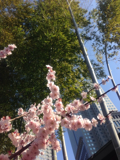 f:id:hiemiko:20140318163806j:plain f:id:hiemiko:20140318163806j:plain