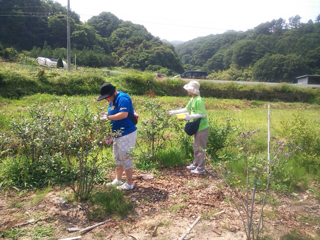 f:id:higashikanamachi_beavers:20130728120140j:plain