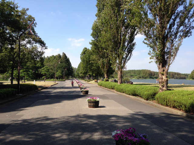 f:id:higashikanamachi_beavers:20130831170927j:plain