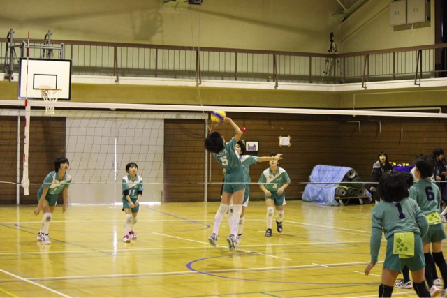 f:id:higashikanamachi_beavers:20150201201308j:plain f:id:higashikanamachi_beavers:20150201201308j:plain