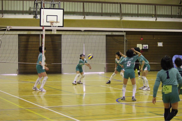 f:id:higashikanamachi_beavers:20150201201322j:plain f:id:higashikanamachi_beavers:20150201201322j:plain