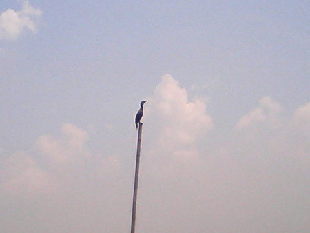 f:id:hihi01:20070826114329j:image