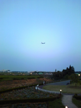 f:id:hihi01:20100517184336j:image f:id:hihi01:20100517184336j:image