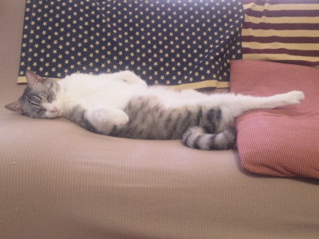 f:id:hihi01:20111211033419j:image f:id:hihi01:20111211033419j:image