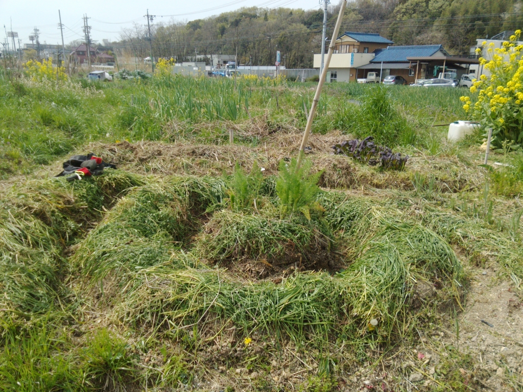 f:id:hihumiyoi:20160409225612j:plain f:id:hihumiyoi:20160409225612j:plain