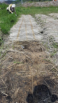 f:id:hihumiyoi:20160421002025j:plain