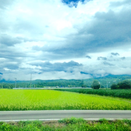 f:id:hikaru-sakura-saku:20150822231531j:image f:id:hikaru-sakura-saku:20150822231531j:image